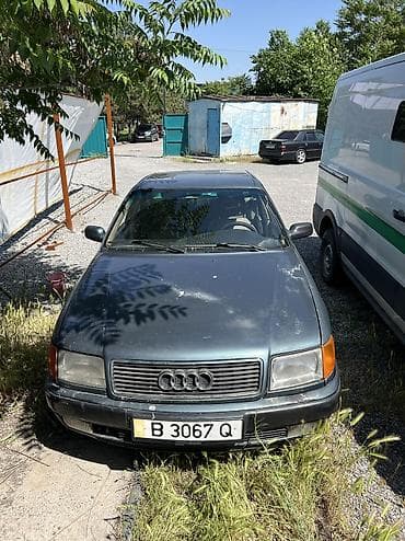 Audi 100: 1991 г., 2.8 л, Механика, Бензин, Седан