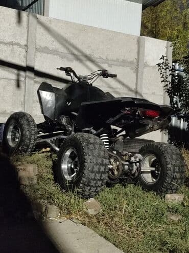 квадроцикл цена детский: Квадроцикл Бензин, 250 куб. см, Чоңдор үчүн — 2