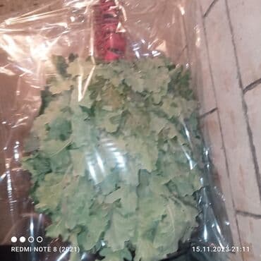 Дубовый веник для баня