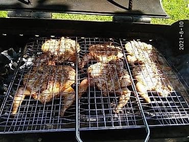 перепелки: Перепела, вес 250 -300 грамм, мясистые тушки, молодняк. Перепёлок — 1