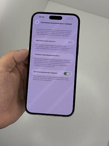 мониторы aoc бишкек: IPhone 14 Pro Max, Колдонулган, 256 ГБ, Графит, 81 % — 3
