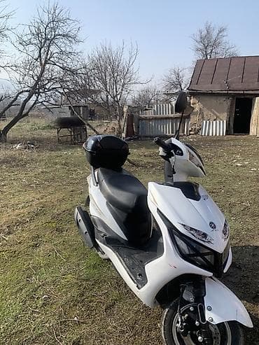 мото вело: Скутер White 150 (дизайн GT), городской класс. Вложение задний тормоз — 4