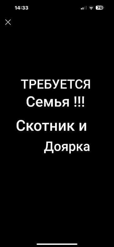 Семейный ичпеген жакшы малчы керек шартары жакшы село Сокулук