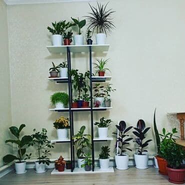 столешницы для кухни в бишкеке цены: Подставки для цветов производство и продажа, 💯качество аккуратность — 21
