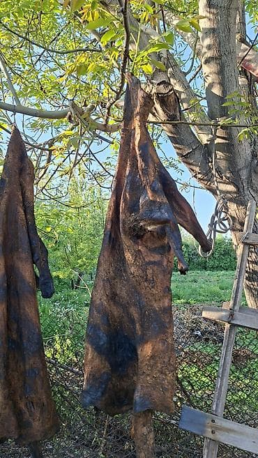 Жаңы ышталган кымызга чаначтар сатылат баасы 5миңден 9 миңге чейин — 3