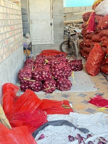 бу кухни гарнитур: Лук Оптом, Платная доставка — 1