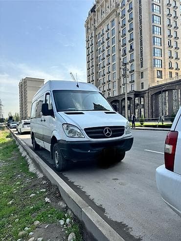 Mercedes-Benz Спринтер: 2009 г., Дизель, Фургон