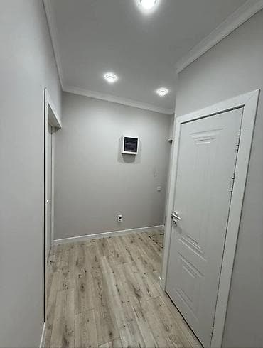 55: 1 комната, 45 м², 106 серия, 8 этаж, Евроремонт — 6