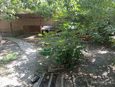 продаю дом в кызыл аскере: Үй, 63 кв. м, 4 бөлмө, Менчик ээси, Эски ремонт — 19