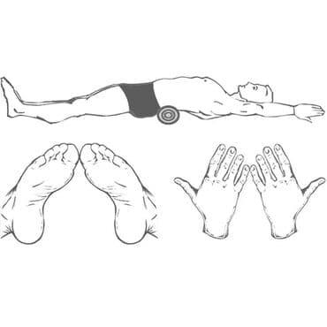 уход за растениями: Мостик — 4