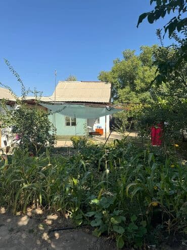 дом посёлок манас: Үй, 100 кв. м, 4 бөлмө, Менчик ээси — 10