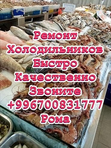 Муздаткычтарды, тоңдургучтарды оңдоо: Ваш холодильник снова в строю! 🌟 Ремонт холодильников в Бишкеке с — 1