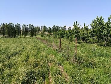 60 соток, Для сельского хозяйства