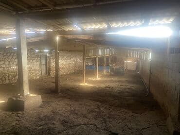 Үйдү ижарага алам: Үй, 80 кв. м, 3 бөлмө, Менчик ээси, Косметикалык оңдоо — 3