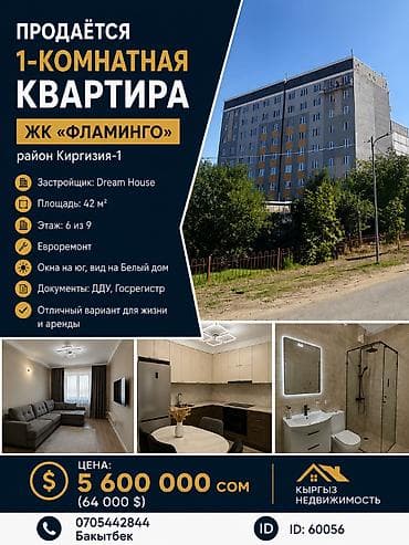 сулайман тоо: 1 бөлмө, 42 м², 106-серия, 6 кабат, Евроремонт — 1
