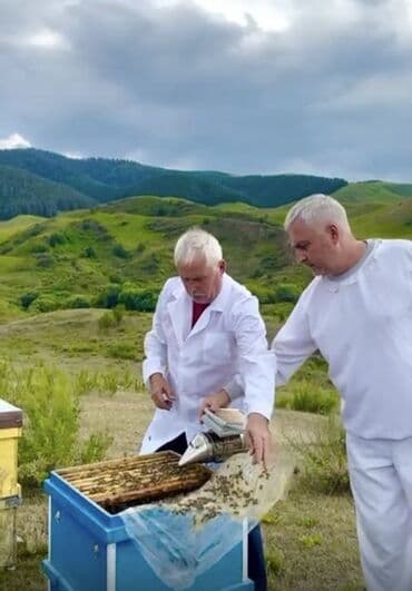 баночки для меда бишкек: Продаем мёд крупным и мелком оптом от производителя. Горный мёд — 5