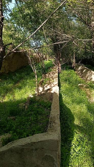 Недвижимость: 15 соток, Для сельского хозяйства — 1