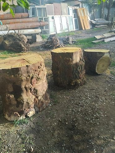 цена леса за куб: Пни-спилы из массивного дерева - Крупные заготовки из цельного — 5