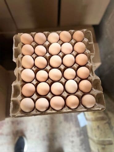 оптом жумуртка: Яйцо куриное — оптом. - Категории по размеру/классу: • С0 — 10.50 с — 2