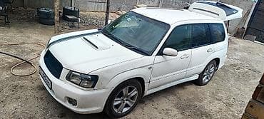 forester 2003: Subaru Forester: 2004 г., 2 л, Газ, Кроссовер — 3