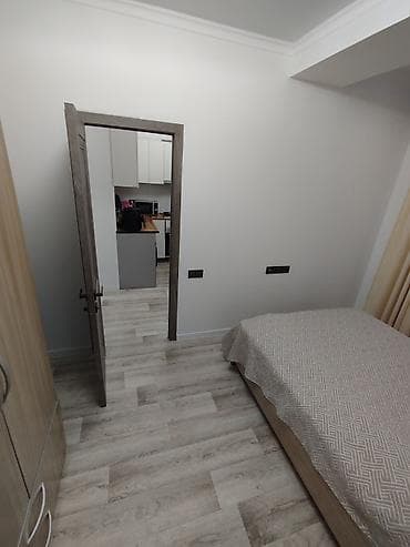 2 room flat: 2 комнаты, Собственник, Без подселения, С мебелью полностью — 2