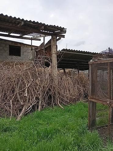 аренда помещения 30 кв м: Дом с участком в 15соток в селе Студенческое — 3