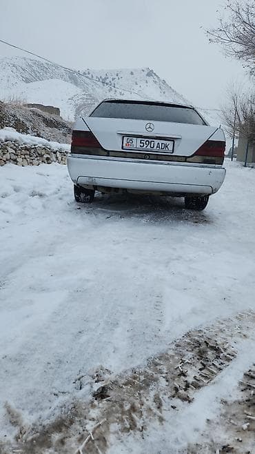 зимные: Mercedes-Benz S-Class: 1992 г., 3.2 л, Автомат, Бензин, Седан — 2