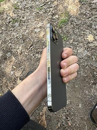 iphone s: IPhone 12 Pro Max, Б/у, 128 ГБ, Natural Titanium, Чехол, 76 % — 6