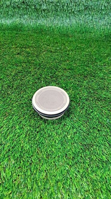 динамик бмв: СЧ-динамик е46, е53, е60, е70 Номер 8 368 237 Год 2004 В отличном — 1