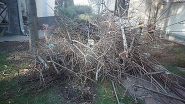 Уход и хранение одежды: Дрова — 3