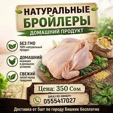 куриный угалок: 🐔 НАШИ БРОЙЛЕРЫ — ЭТО ЛЮБОВЬ В КАЖДОМ КУСОЧКЕ! 😋 Забудьте про сухую — 1