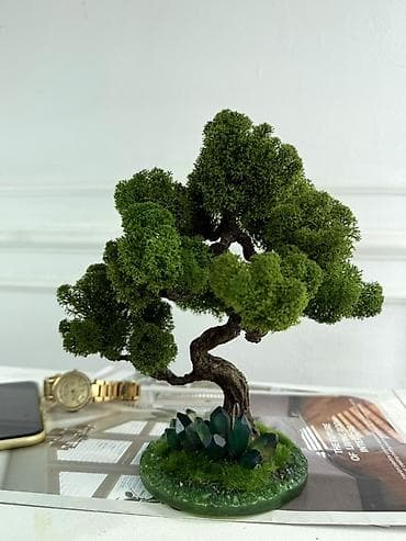 Другой декор и предметы интерьера: Декоративное настольное деревце Бонсай из стабилизированного мха- — 5