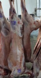 уй эти баасы бишкек: 🥩 Поступило свежее мясо — баранина и ягнята, всё халяль. Мягкое — 3