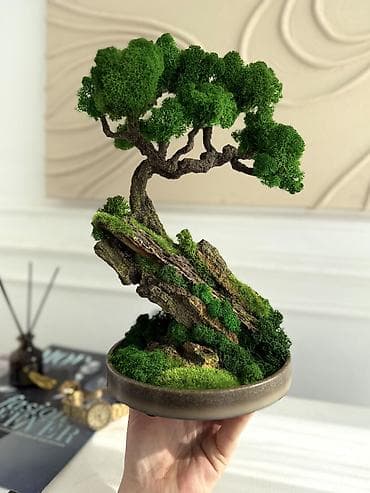 бонсай дерево купить: Интерьерные композиции с деревом бонсай из натурального живого — 1