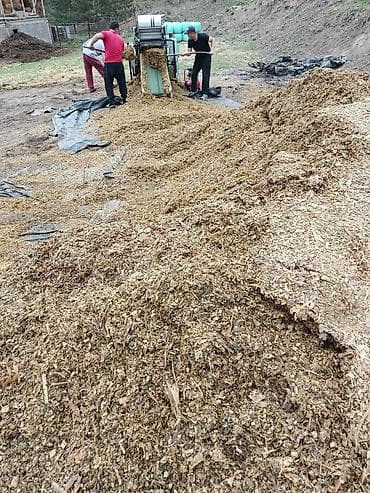 баран кант: Силос кемин 
высшего качества — 4