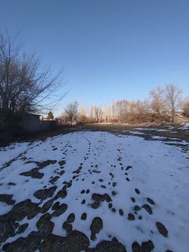 гараж бу купить: 14 соток, Для бизнеса, Красная книга, Договор купли-продажи — 1