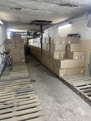 латок для яйца: Куриные яйца, прямые поставки с фабрики. фасованные в лотки и в пачки — 3