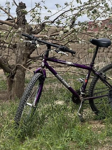 електро велеспет: Горный велосипед, Сталь, Б/у — 5