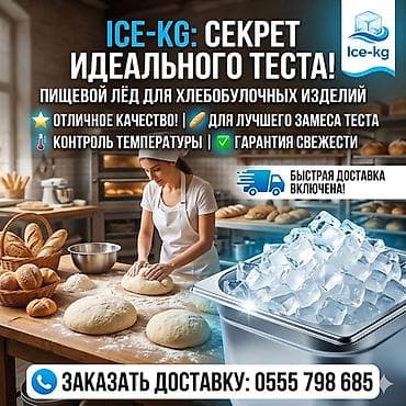 ледо: ЛЁД ПИЩЕВОЙ ДЛЯ ПЕКАРЕН — 1