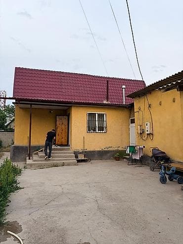 4 соток, Кызыл китеп