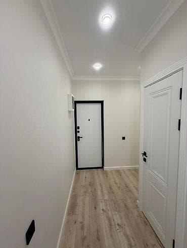 1 комната, 45 м², Киргизия 1 106 серия улучшенная, 7 этаж, Евроремонт — 7
