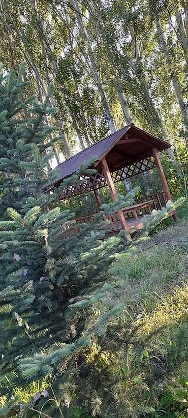 Недвижимость: 🌲 Зона отдыха "Фазенда"🌲 К вашим услугам мы предлагаем в аренду: ☀️ — 1