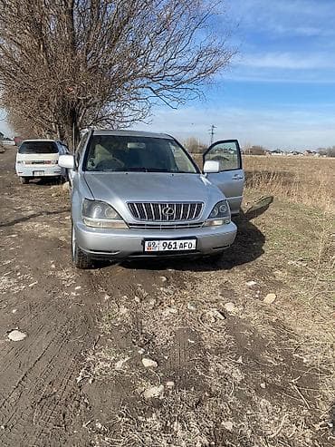 Lexus RX: 2002 г., 3 л, Автомат, Бензин, Внедорожник