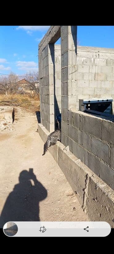 продаю участок на иссык куле село тамчы: 8 соток, Для бизнеса, Тех паспорт — 5