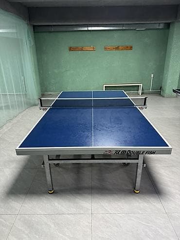 Профессиональный стол для настольного тенниса Double Fish - Игровая
