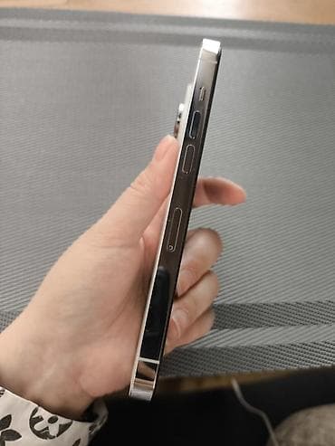 12 iphone pro: IPhone 14 Pro, Б/у, 256 ГБ, Серебристый, Защитное стекло, 100 % — 2