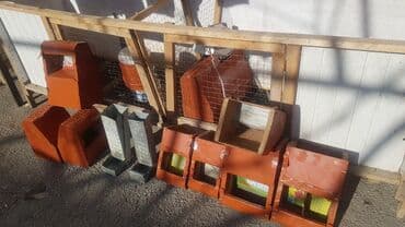 дом для собаки: Продаются бункерные кормушки и поилки для кроликов.г.Ош ор-р — 2