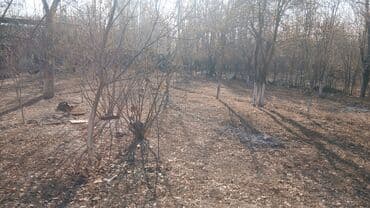 передвижной дом: Дом, 15 м², 7 комнат, Собственник, Старый ремонт — 6