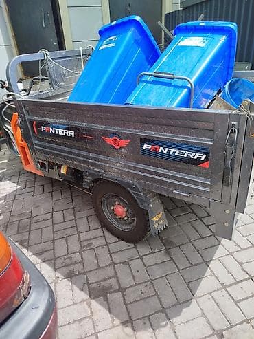 купить грузовой трицикл: Грузовой моторолллер самосвал Pantera LX-570 срочно срочно 1 месяц — 6