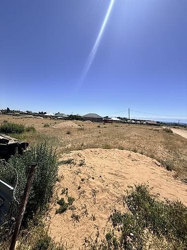 palma beach: 8 соток, Красная книга — 3